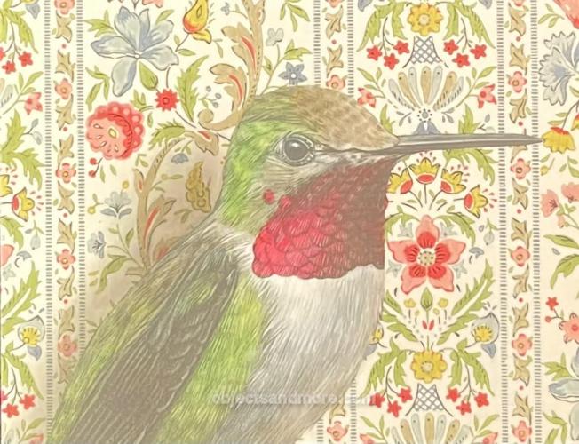 Hummingbird Note Card by EMILY UCHYTIL